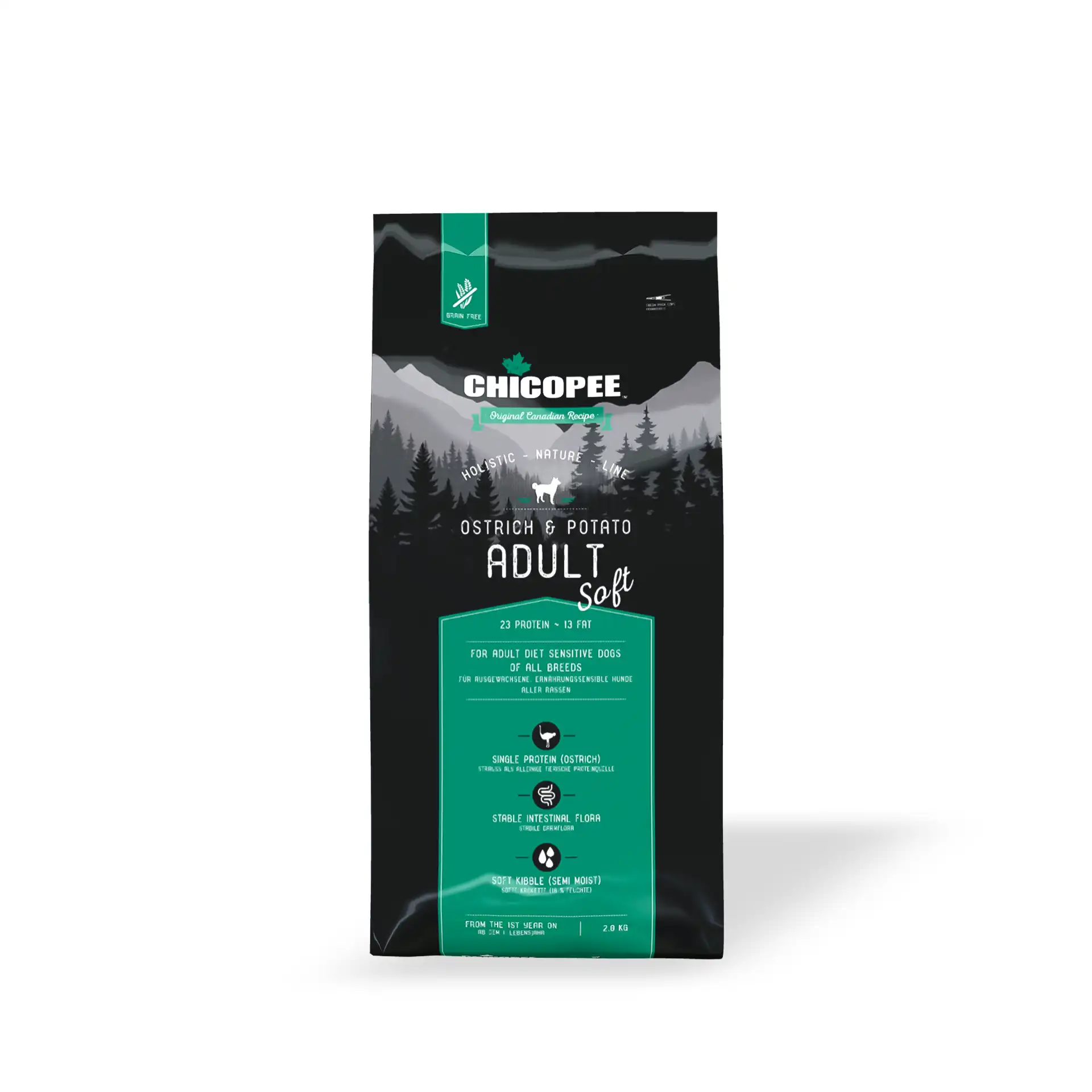 Chicopee, HNL, Qen të ndjeshëm, struc & patate