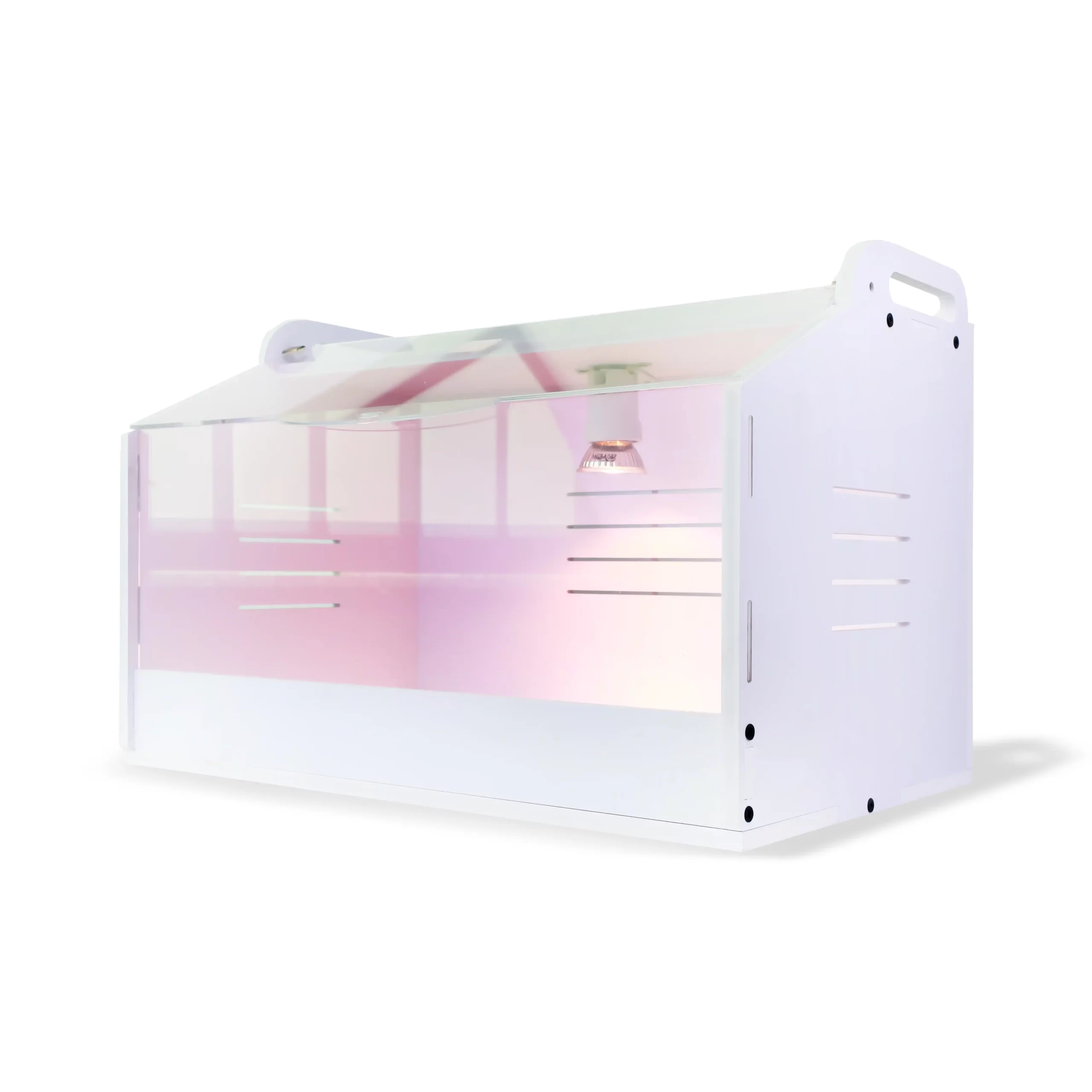 MONAGRI, Inkubator pas çeljes së vezëve