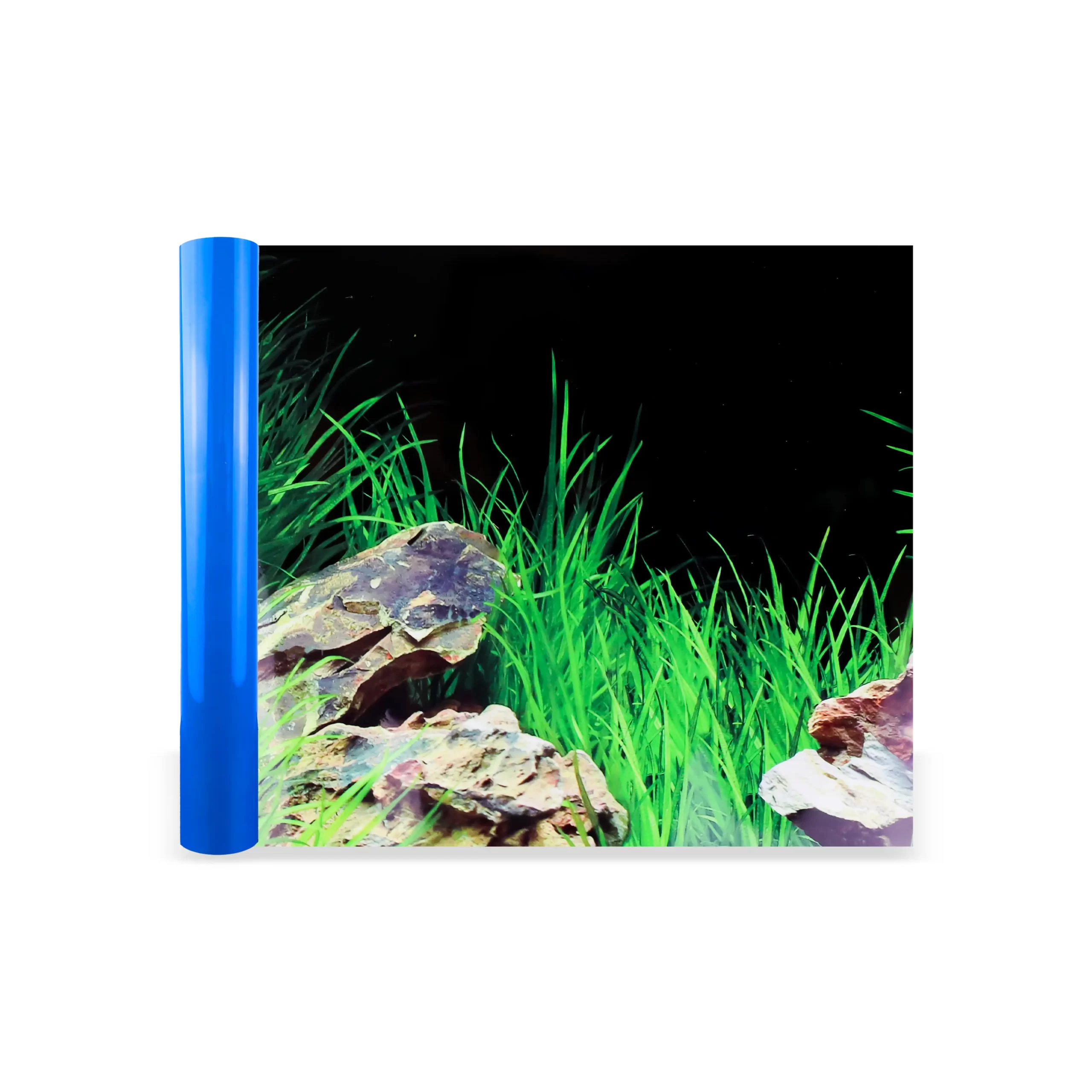 7033-poster-80x50cm-per-akuarium-scaled.webp