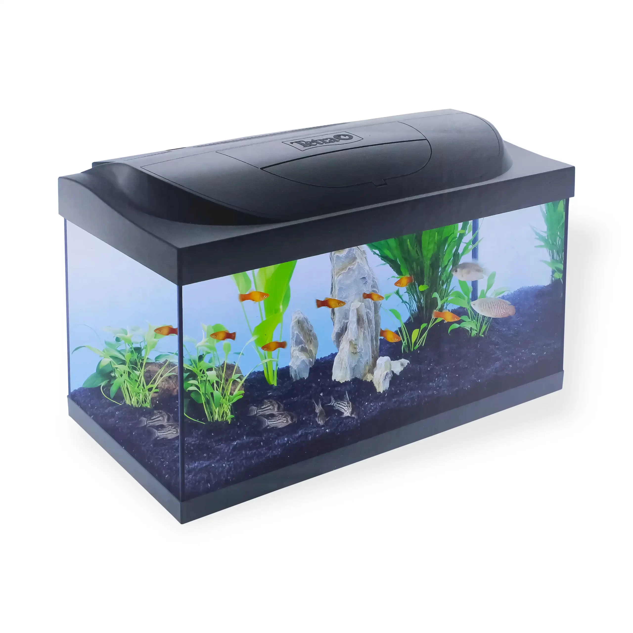 Tetra, Akuarium për peshq, 54 L