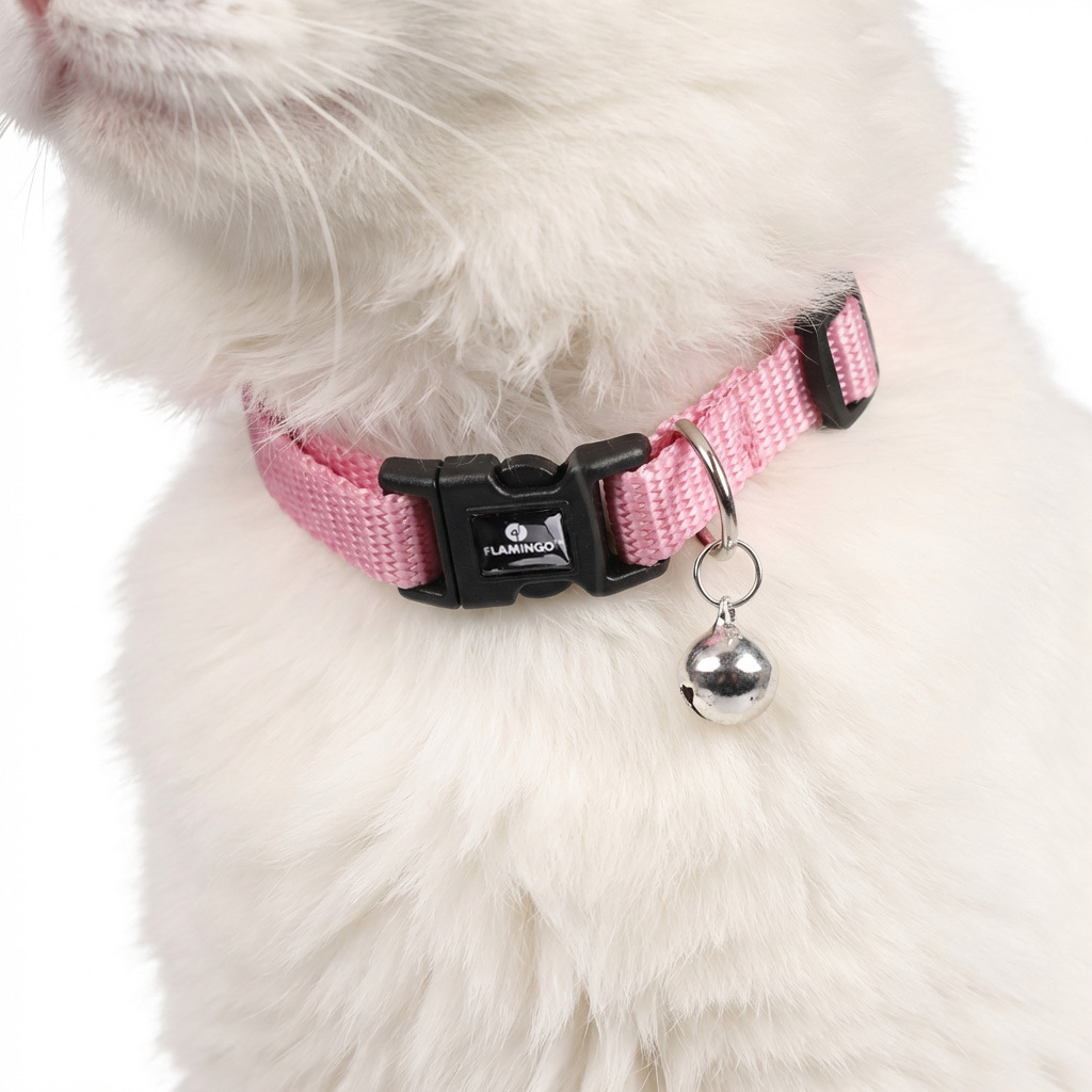 Flamingo, Ziggi, Qafore me zile për mace, rozë