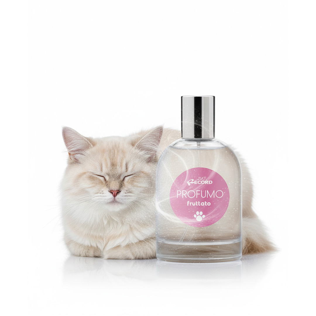 Record, Parfum, Aromë frutore, 100 ml