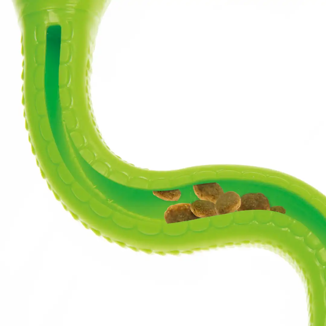 Imac, Lodër për qen, gjarpër