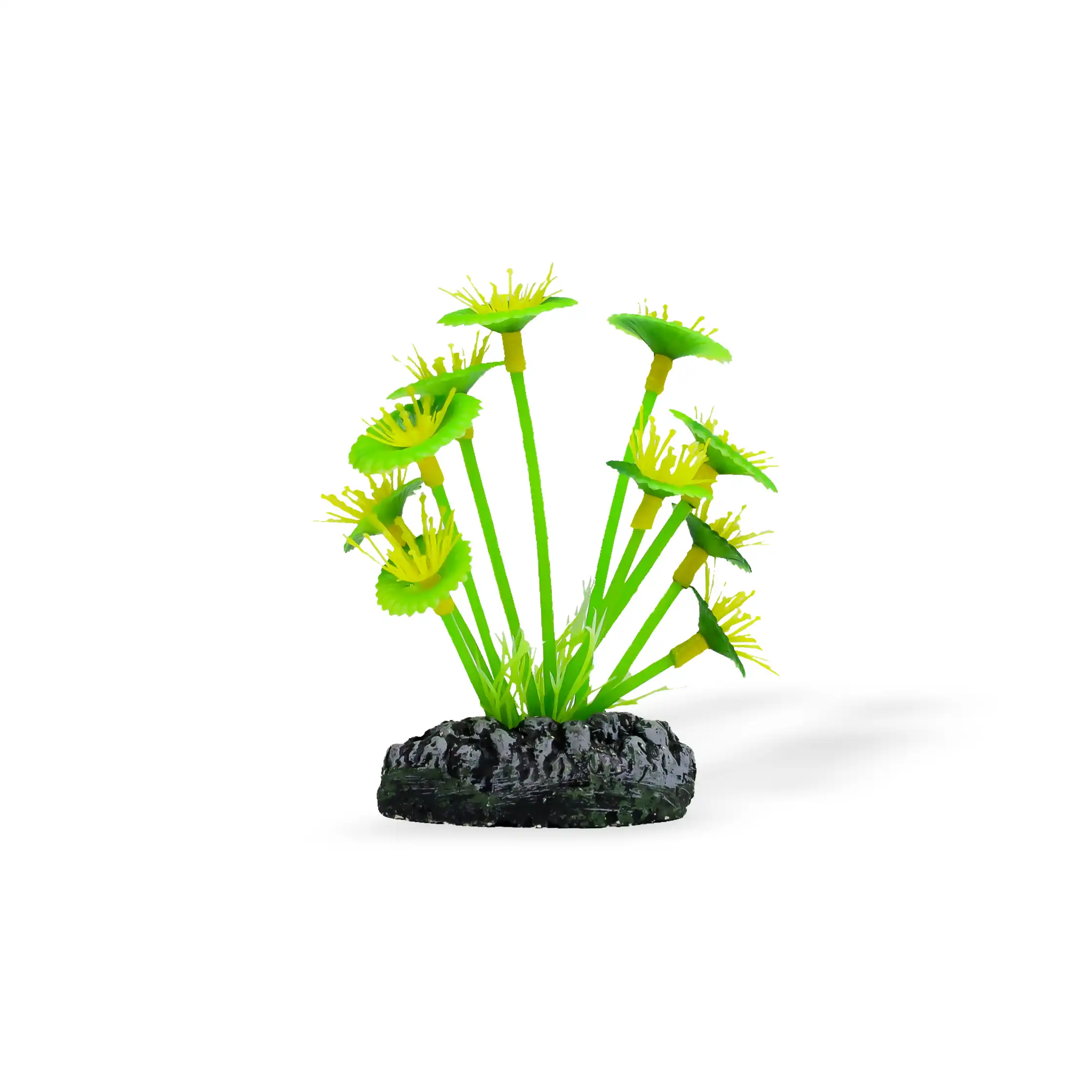 Bimë plastike për akuarium, XS