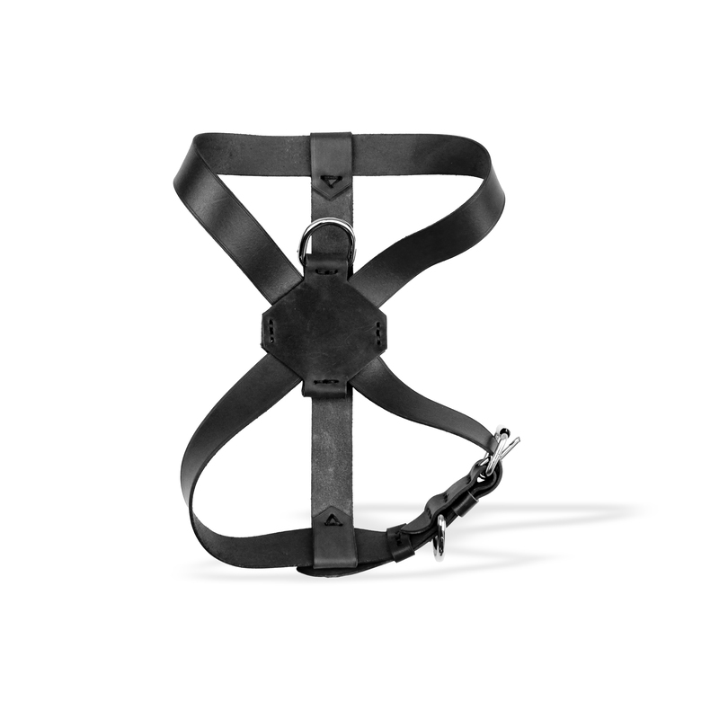 Achaos, Gjoksore lëkure për qen, 2,5 x 27 cm