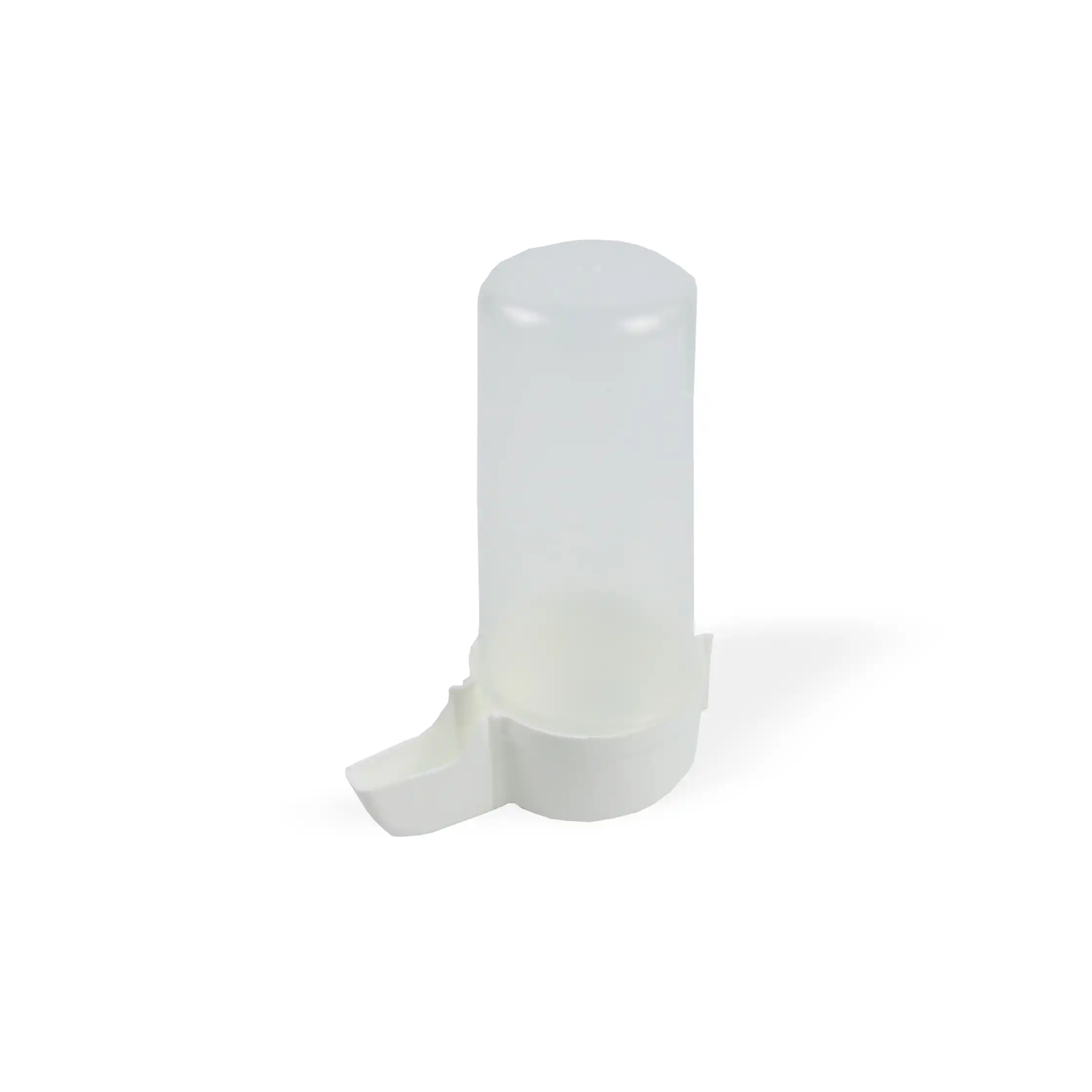 Flamingo, Ujëpirëse për papagaj të vegjël, fontanë