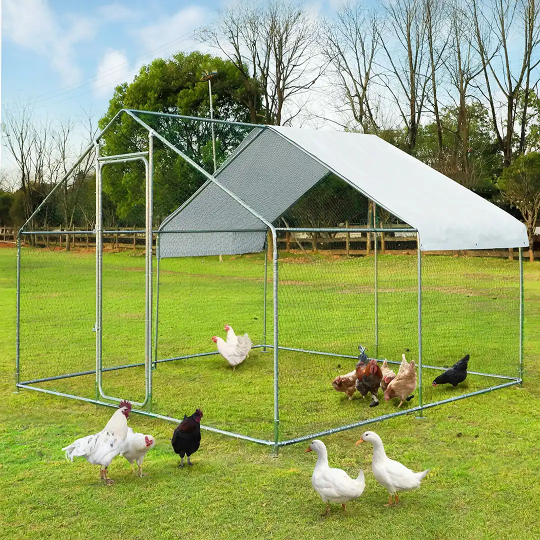 9240 - MONAGRI, Rrjetë për pula, 4 m x 3 m x 1,95 m, II.webp