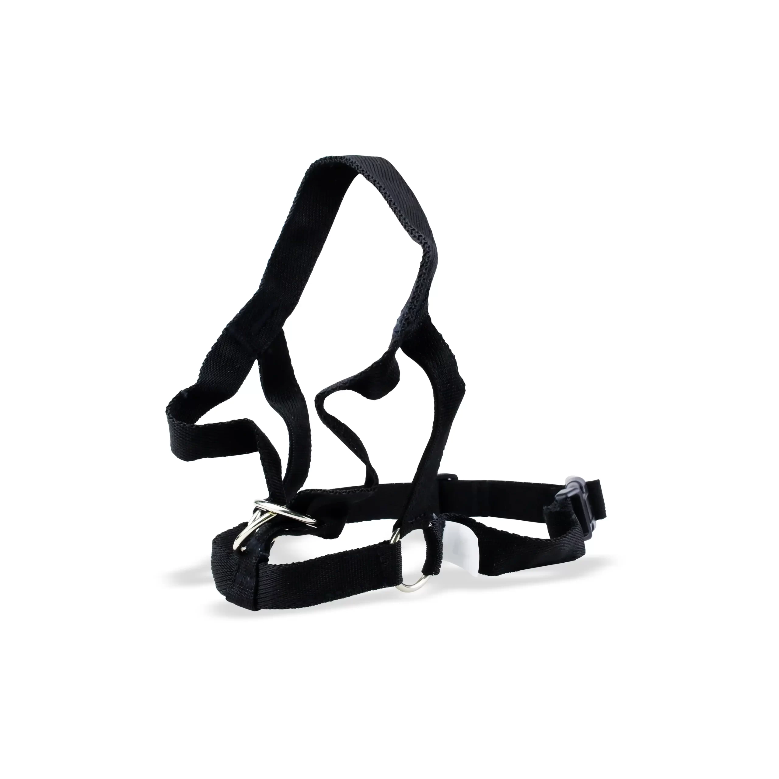 Flamingo, Easy Leader, Maskë